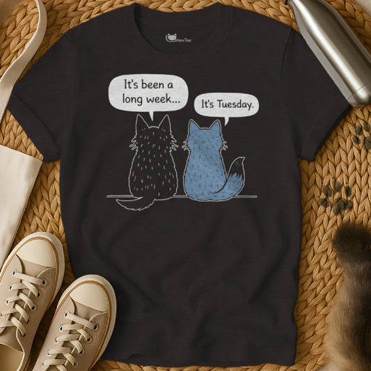 It's Tuesday Cat Shirt