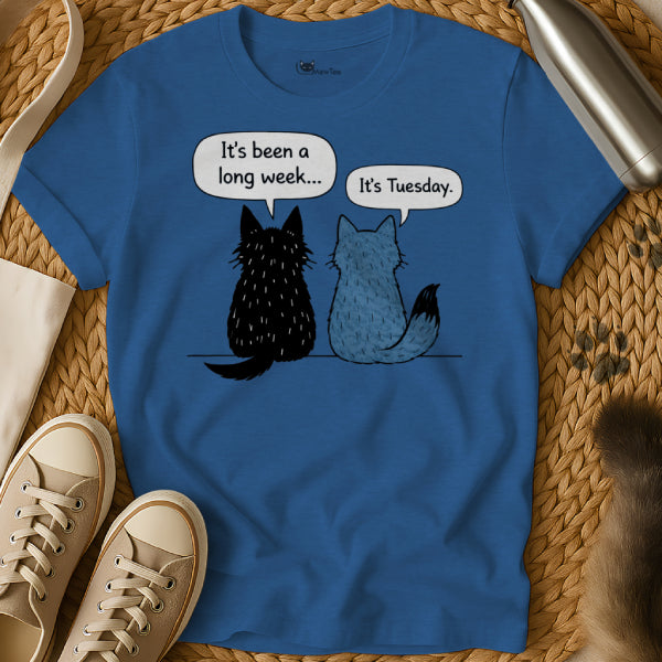 It's Tuesday Cat Shirt
